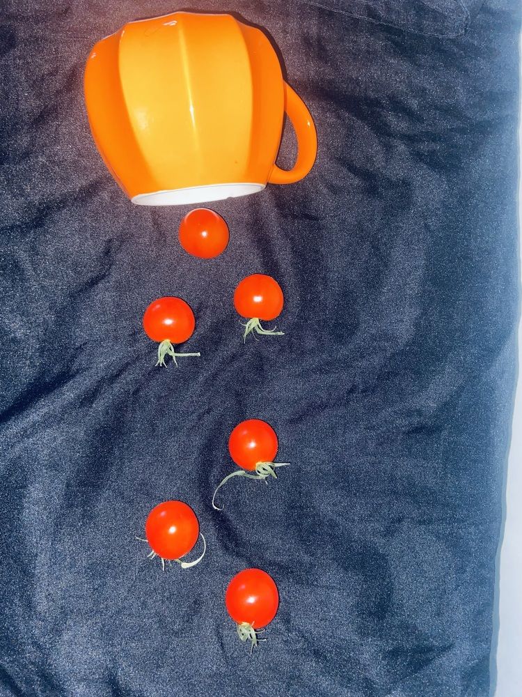 Photograph by Елена Мусина