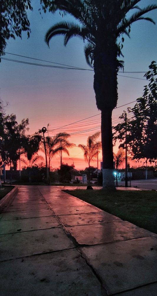 Photograph by Jorge Giol - El Caminante