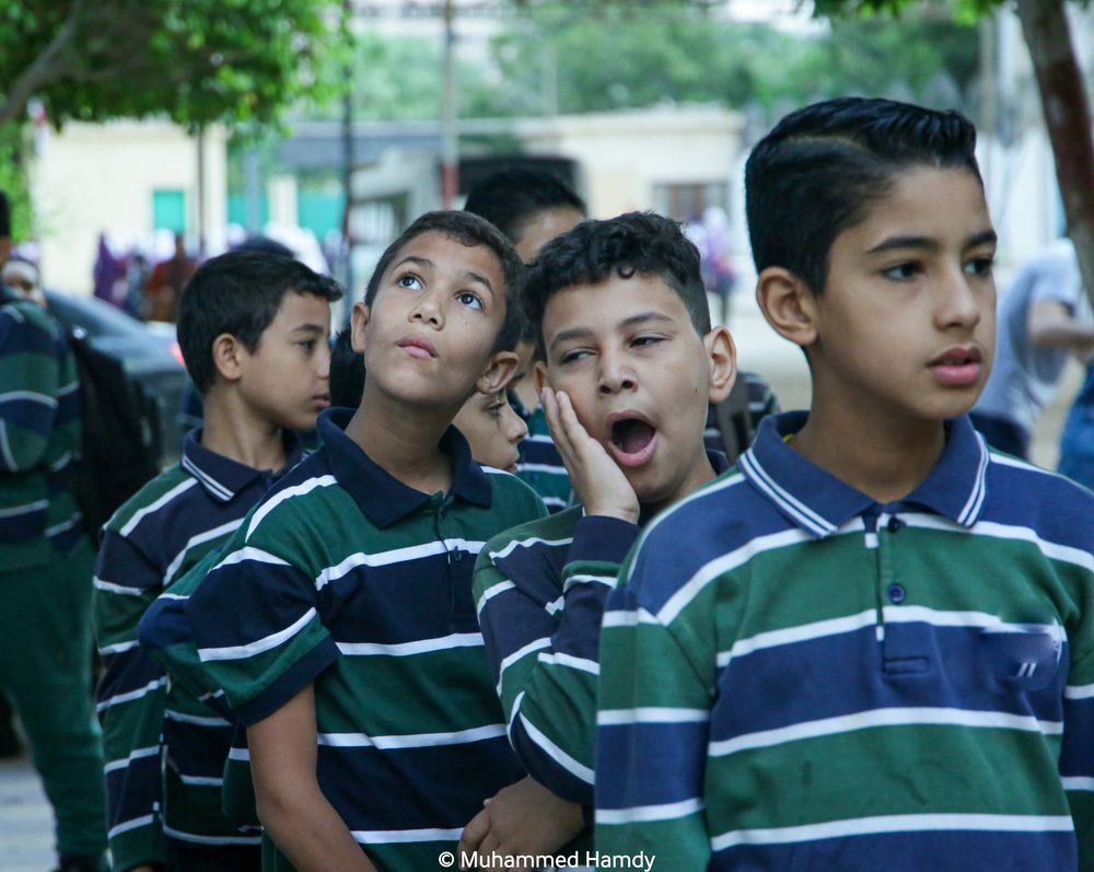 Photograph by Muhammed Hamdy