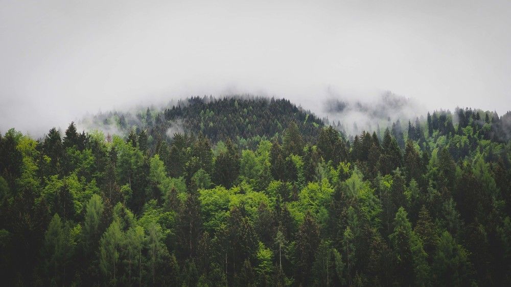 a beautiful view of the austrian alps