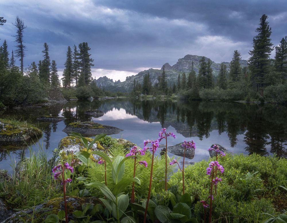 Photograph by Грамаков Юрий