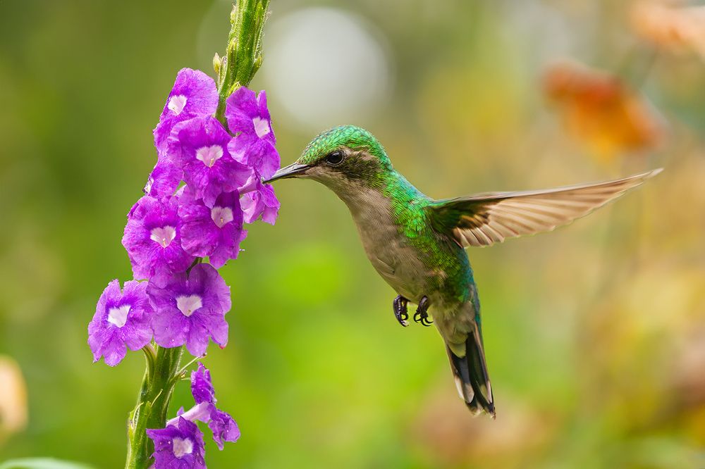 Photograph by Jose Vega