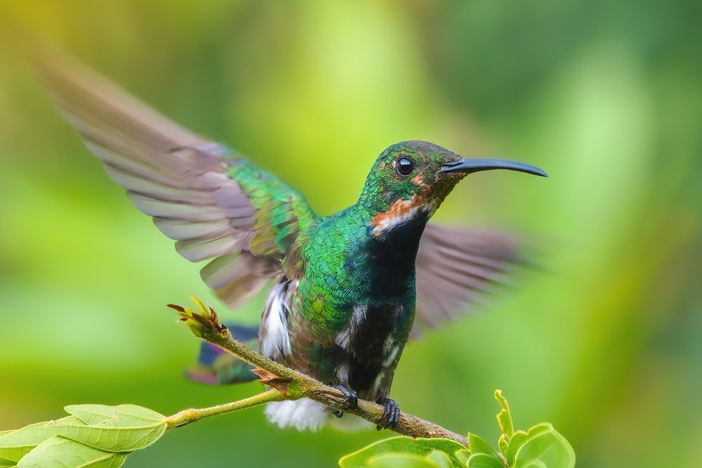 Photograph by Jose Vega