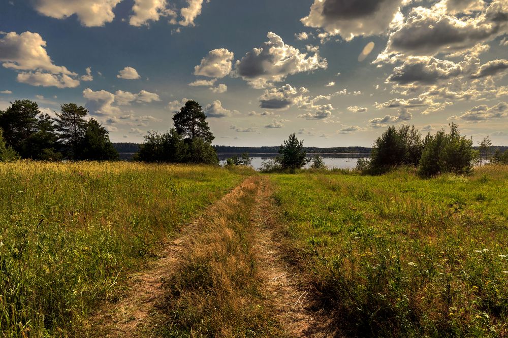 Дорожка к реке Онеге.