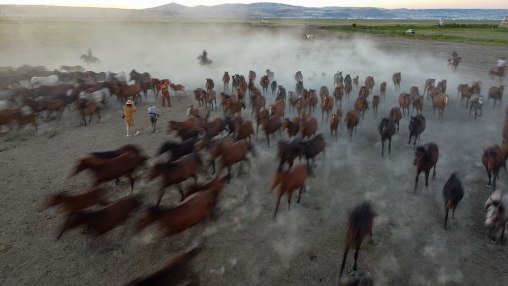 Photograph by Ercan Ozturk