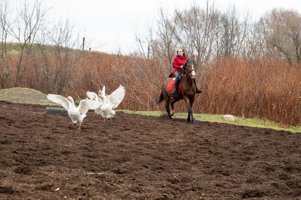Photograph by Алексей Миронов