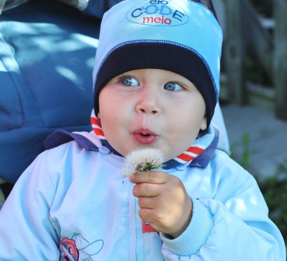 Photograph by Софья Белоногова