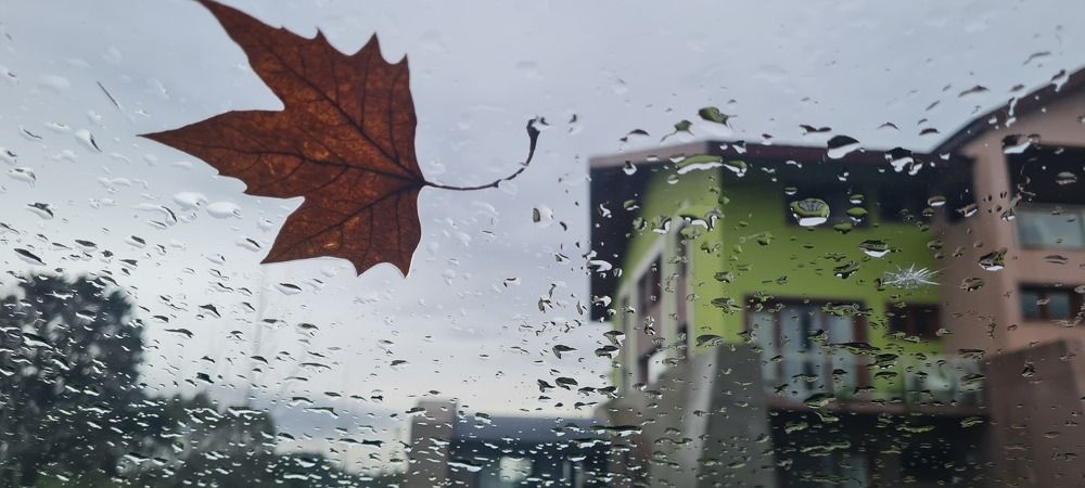 Photograph by Analía Pérez