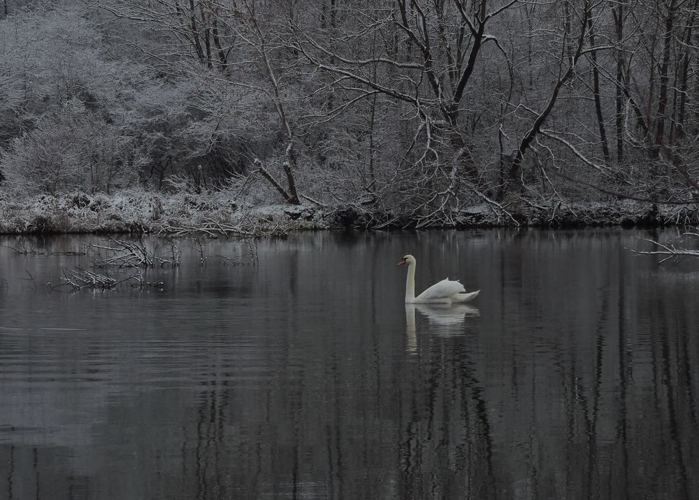 Photograph by Александр Захаров