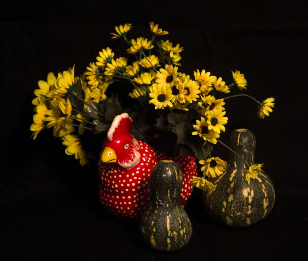 Photograph by Régis Santos