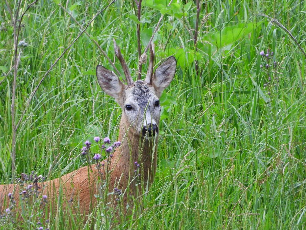 Photograph by Александр Захаров