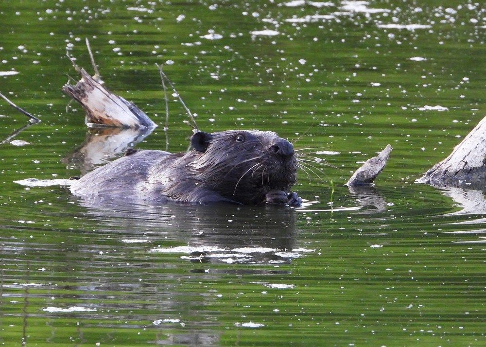 Photograph by Александр Захаров