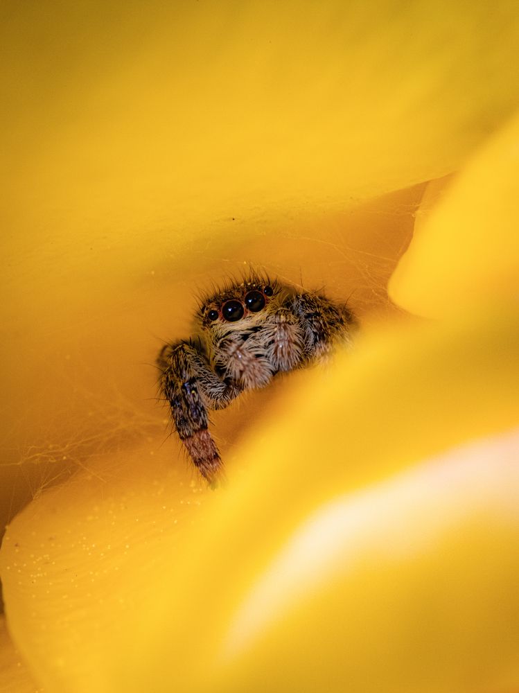 Photograph by Игорь Толкачев