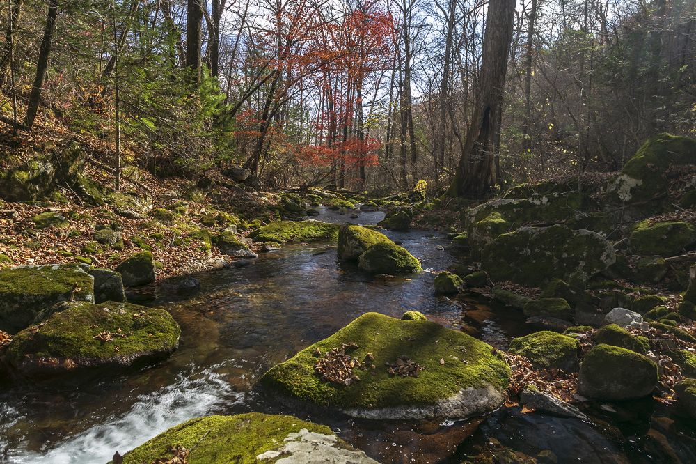 Photograph by ALEKSANDR KUZNETSOV