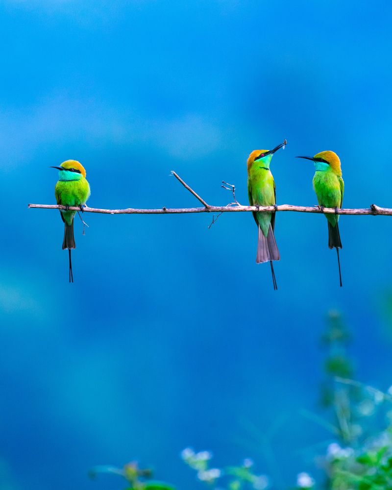 Photograph by Herald Jaison