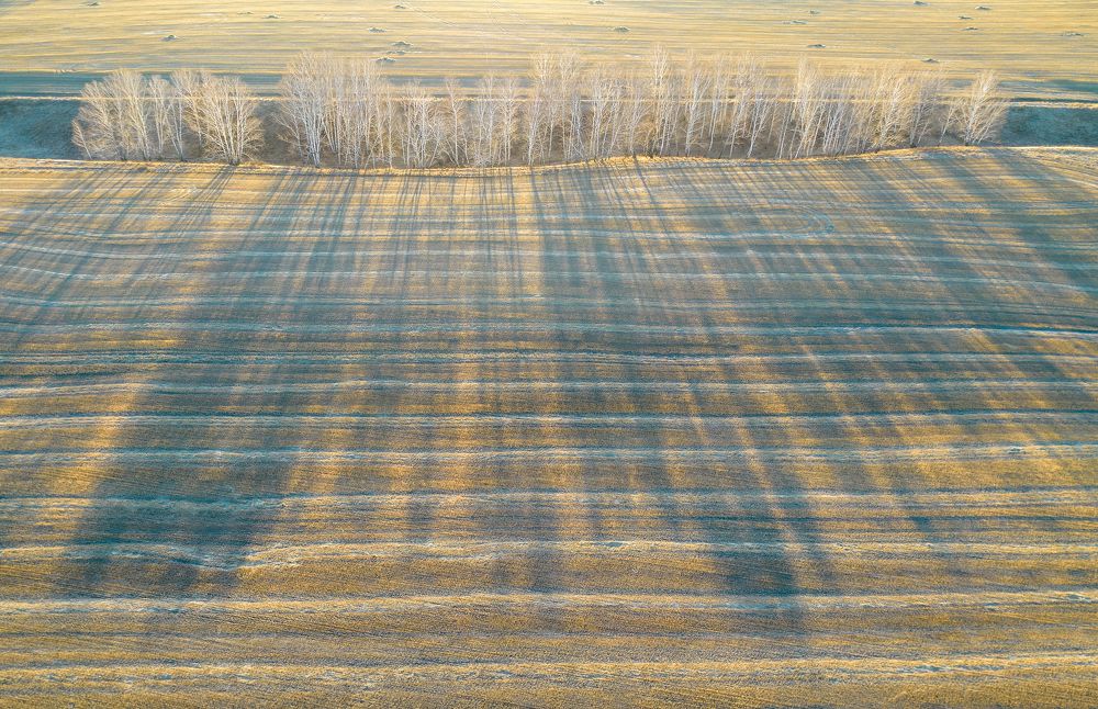 Photograph by Виктор Новокрещенов