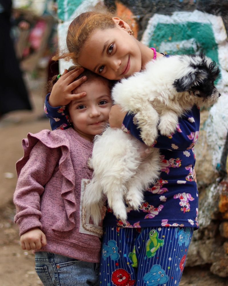 Фотография автора Mohamed Safwat