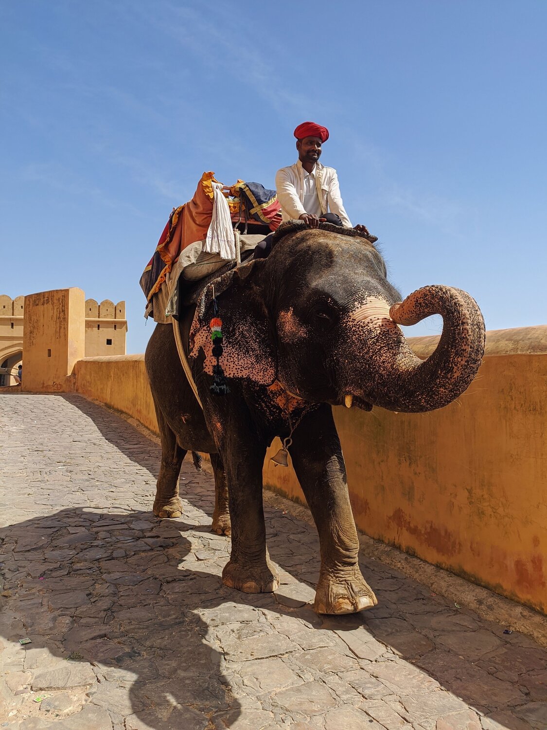 Amer Fort in Jaipur