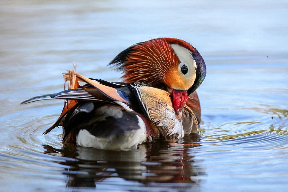 Photograph by Мария Маркина