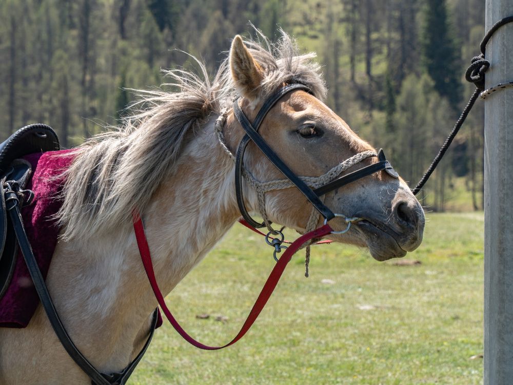 Photograph by Марина