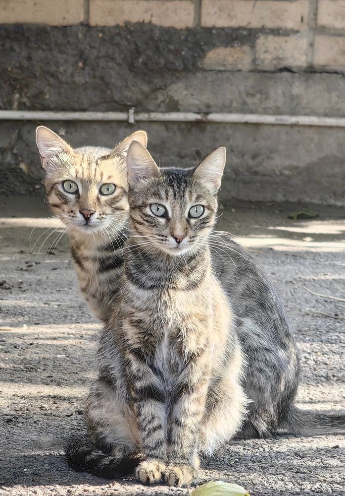 Photograph by Maiya Bulatova