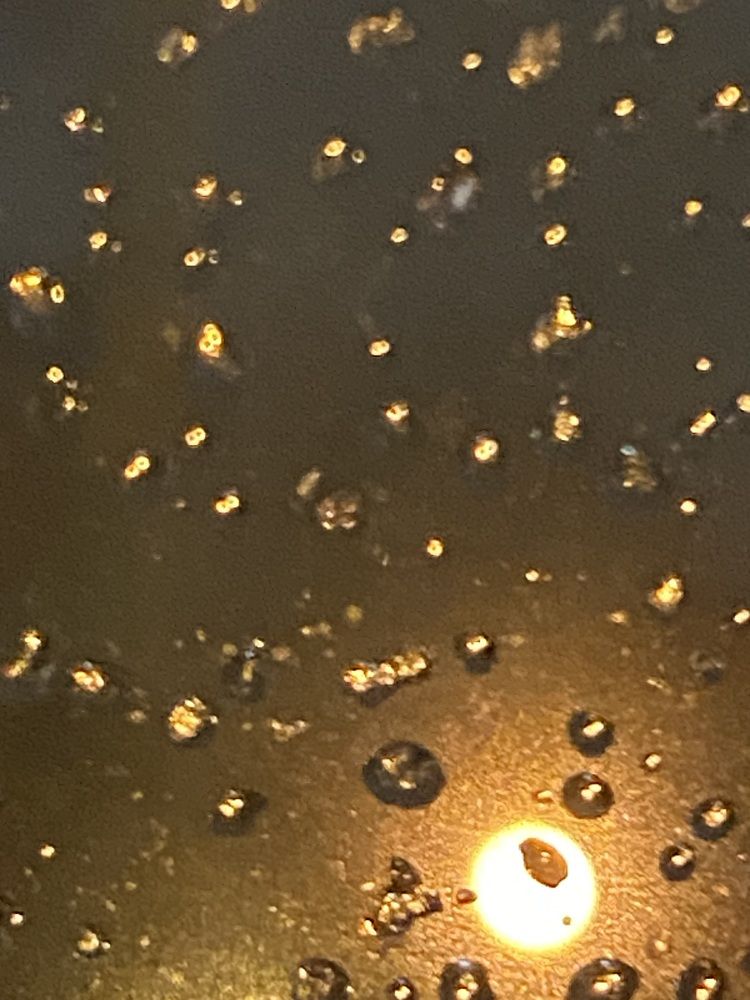 Photograph by Елена Мусина