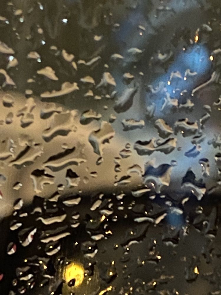 Photograph by Елена Мусина