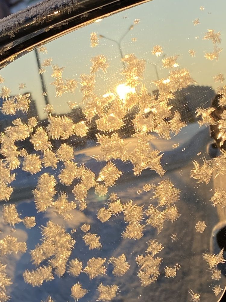 Photograph by Елена Мусина