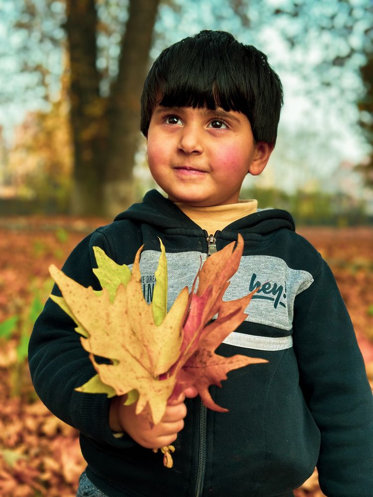 Photograph by Abdul Raouf Dar