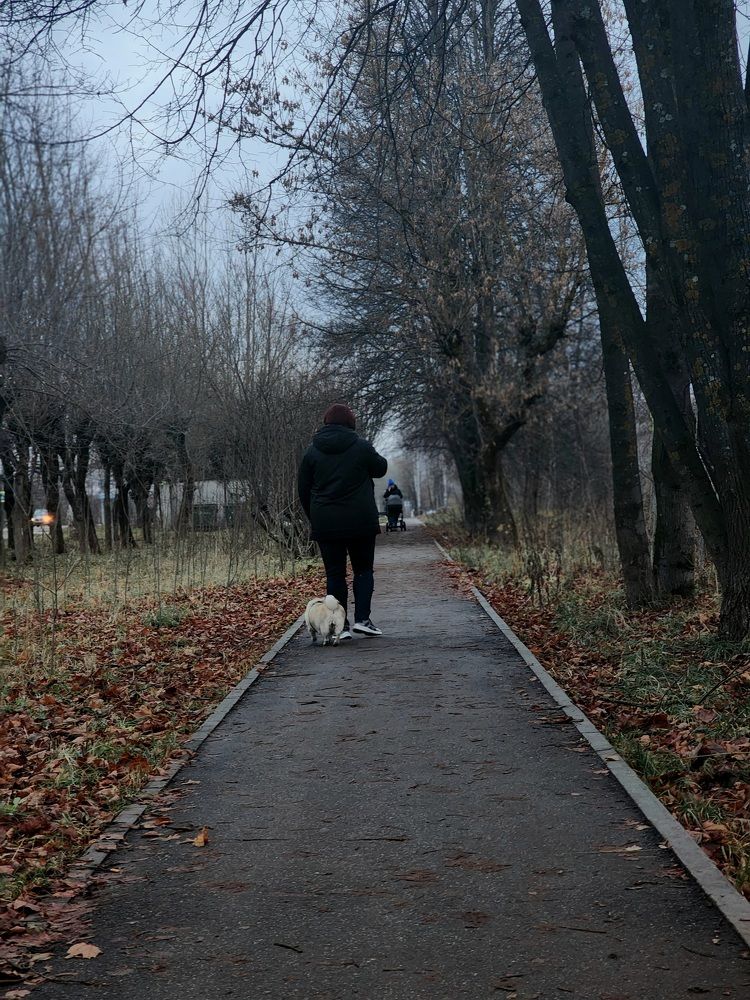 Фотография автора Соколова Ксения