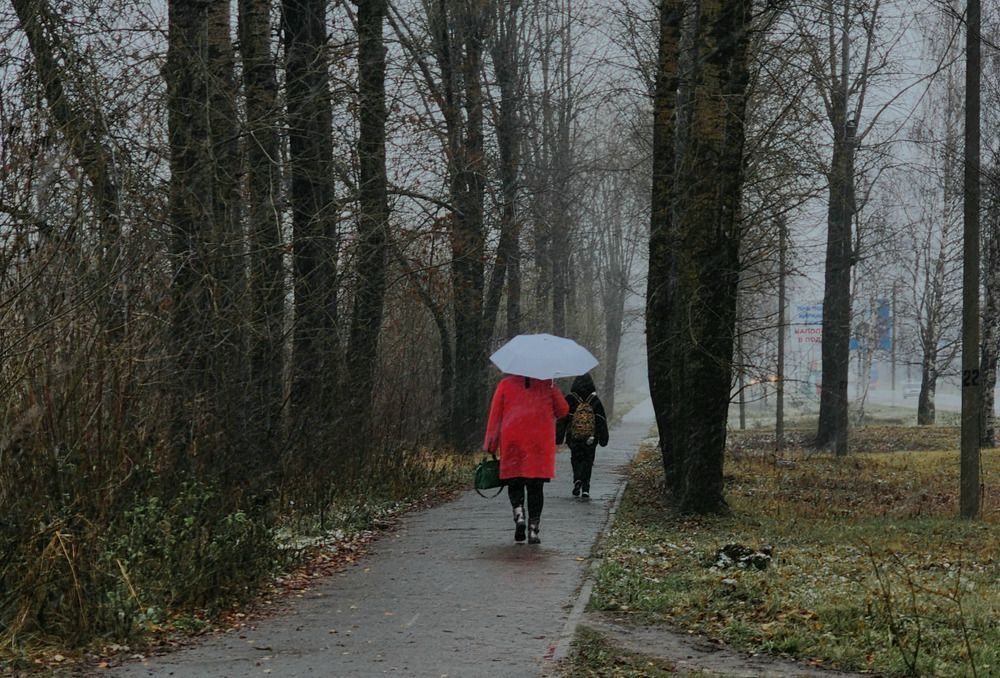 Фотография автора Соколова Ксения