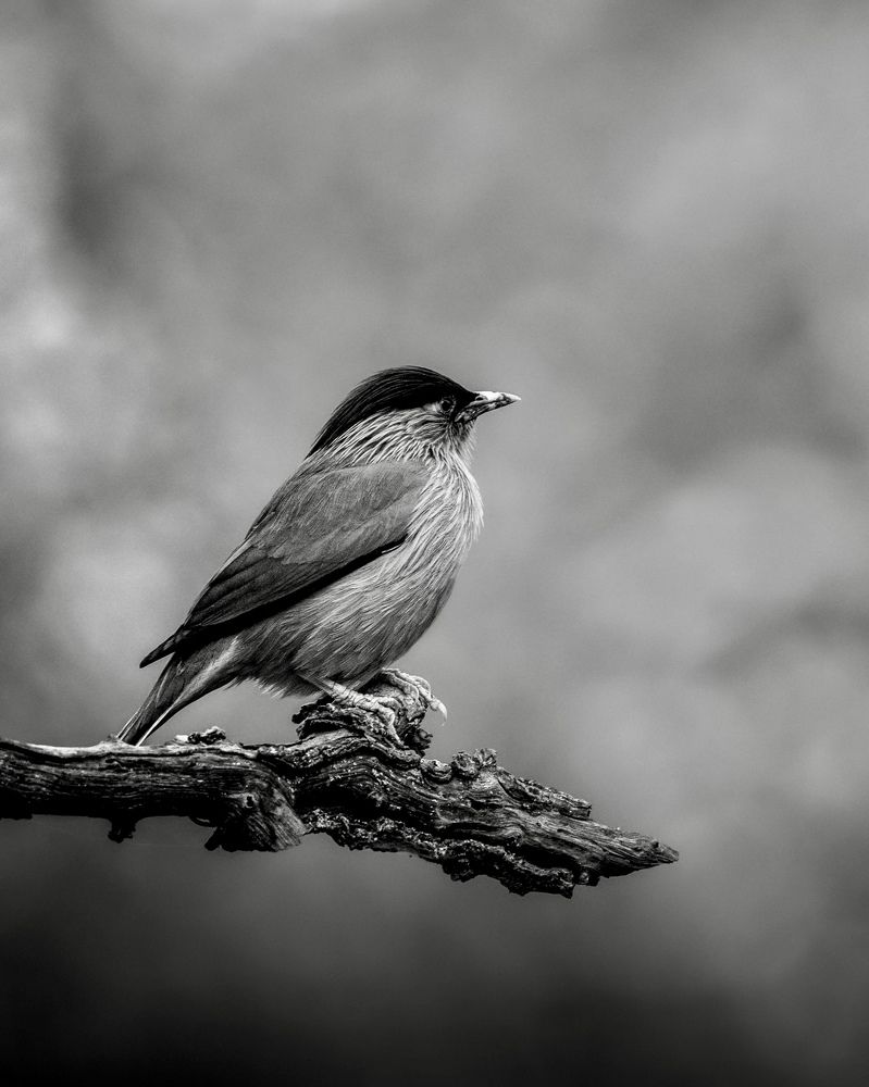 In the hands of Nature!!!