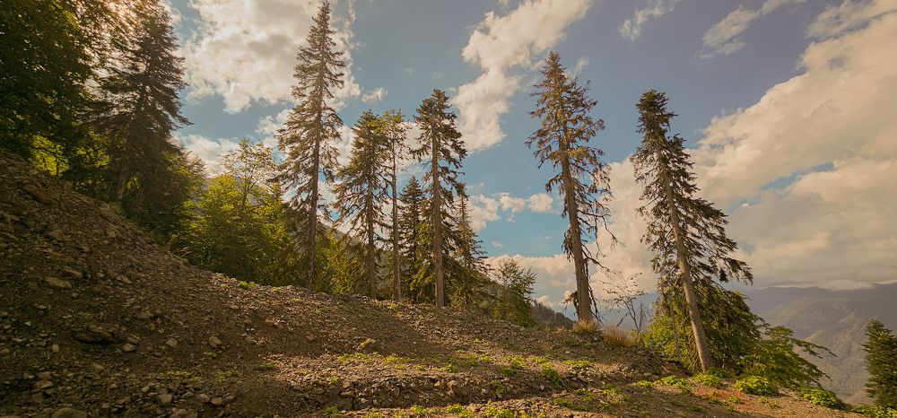 Photograph by Александр Комаров