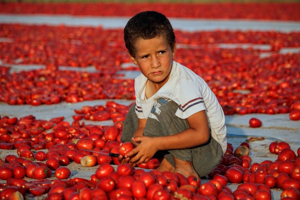 Photograph by volkan akan