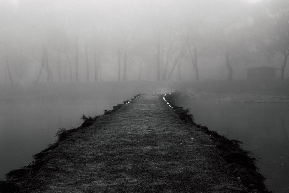 Photograph by 이현수