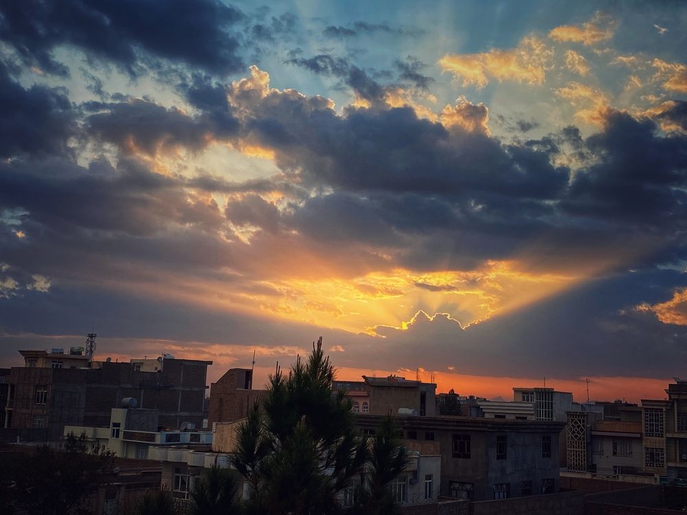 Photograph by Maedeh Sharifi