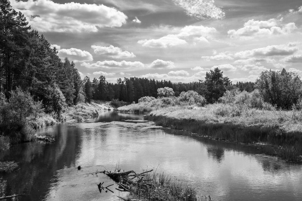 Фотография автора Геннадий Коробов