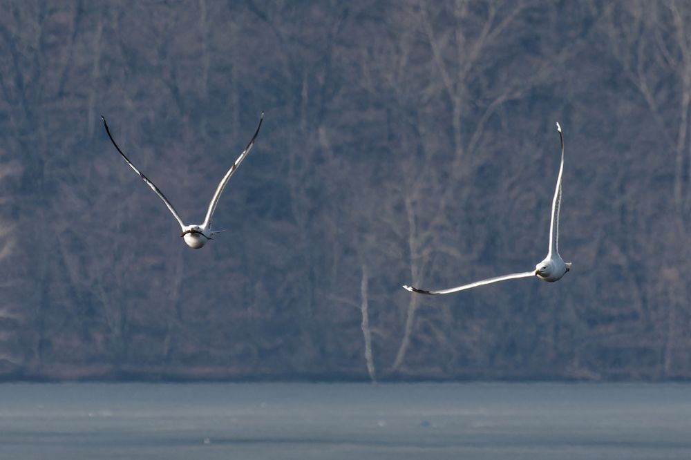 Photograph by Андрей Востриков