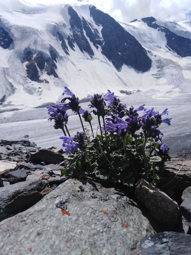 Photograph by Анна