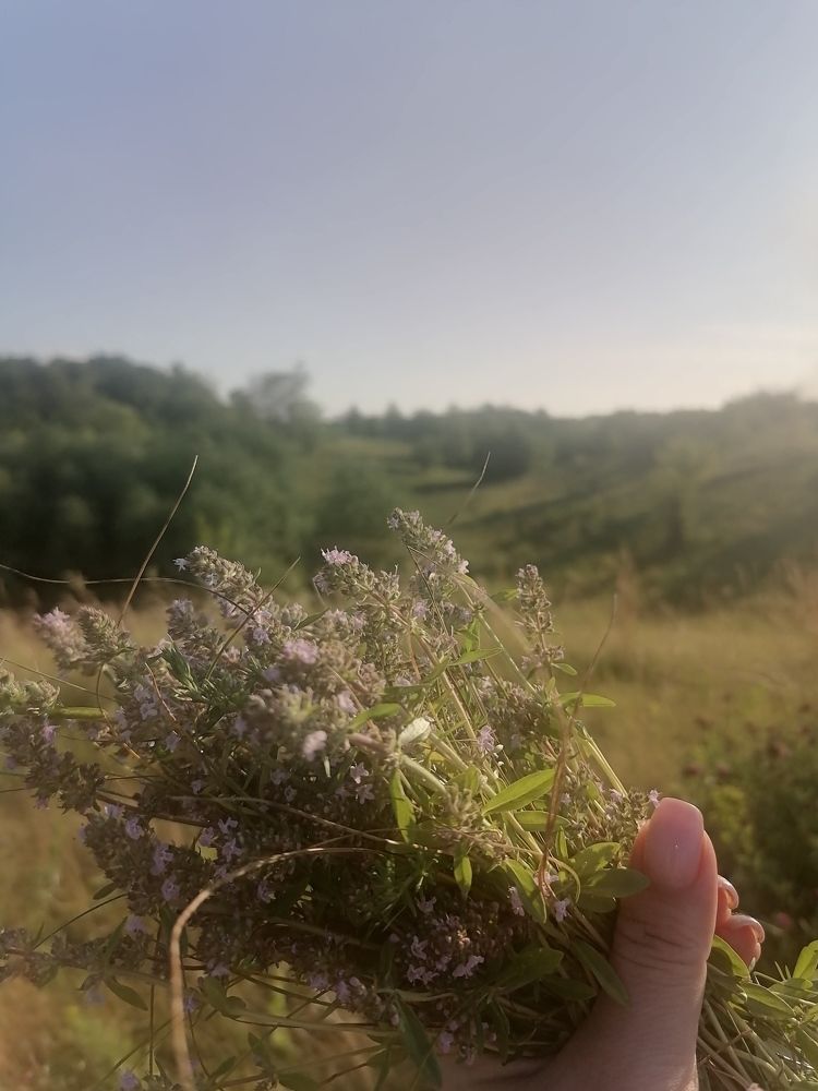 Photograph by Юлия Павленко