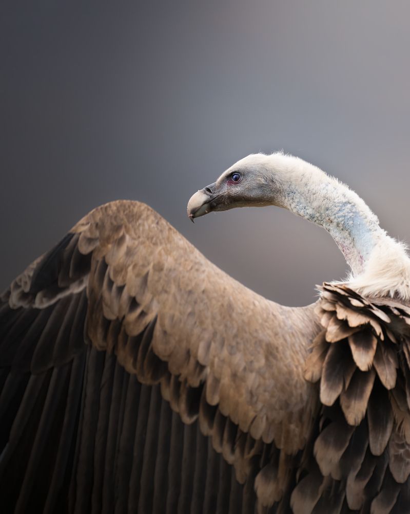 Photograph by Alexandra Surkova