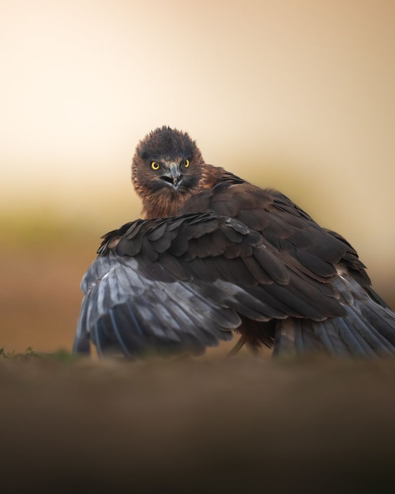 Photograph by Alexandra Surkova