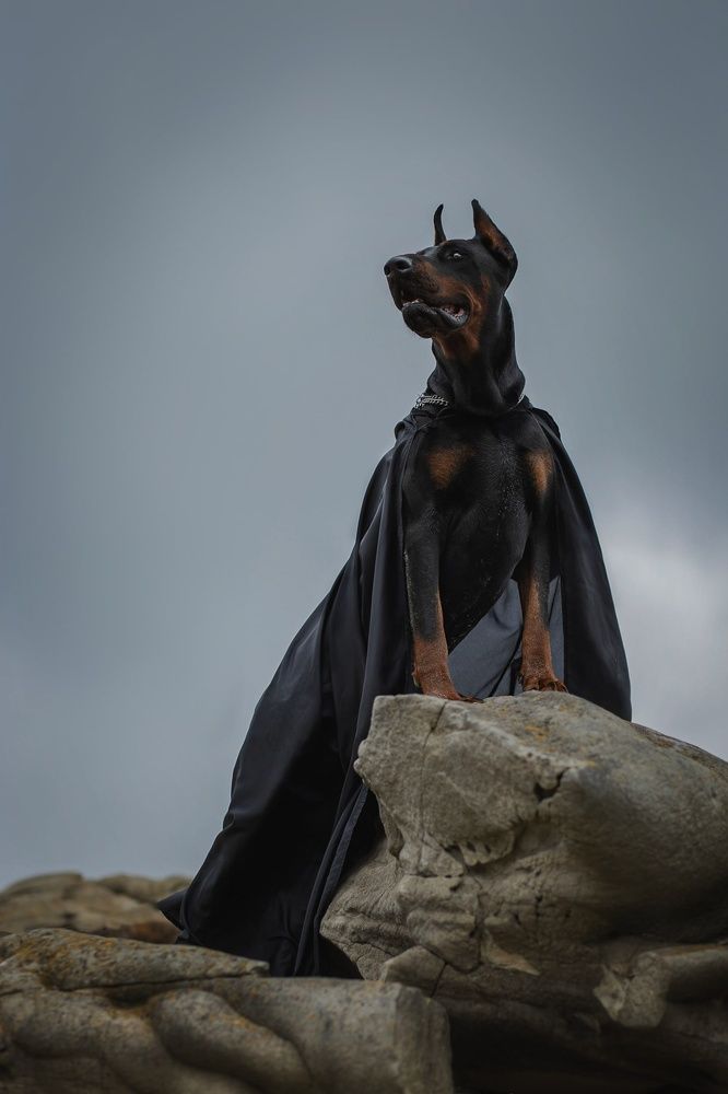 Photograph by Людмила Потапочкина