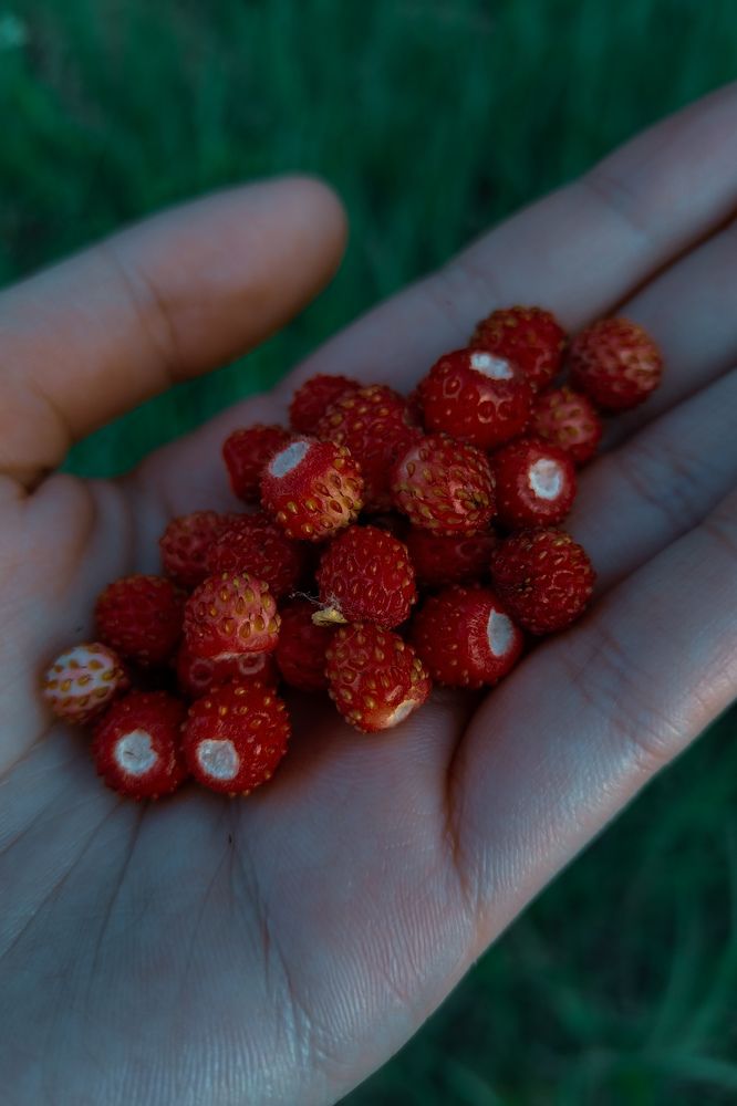 Photograph by Диана Кучумова