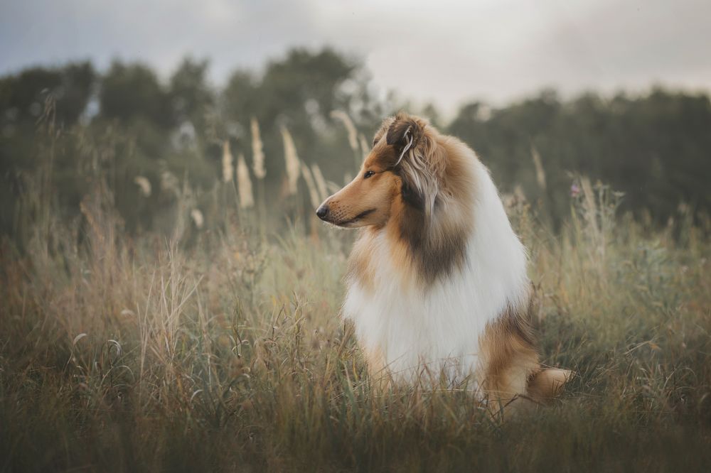 Photograph by Людмила Потапочкина