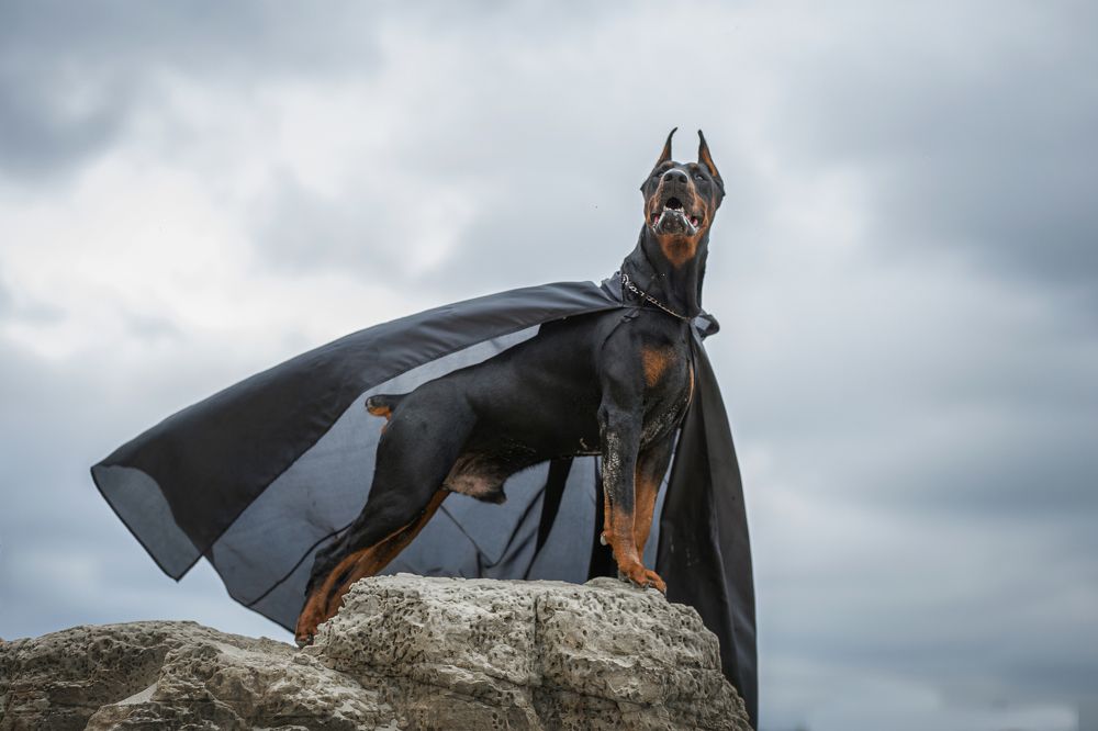 Photograph by Людмила Потапочкина