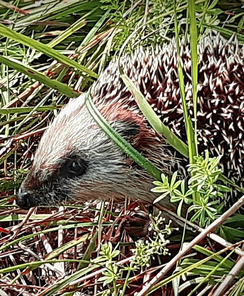 Photograph by Екатерина