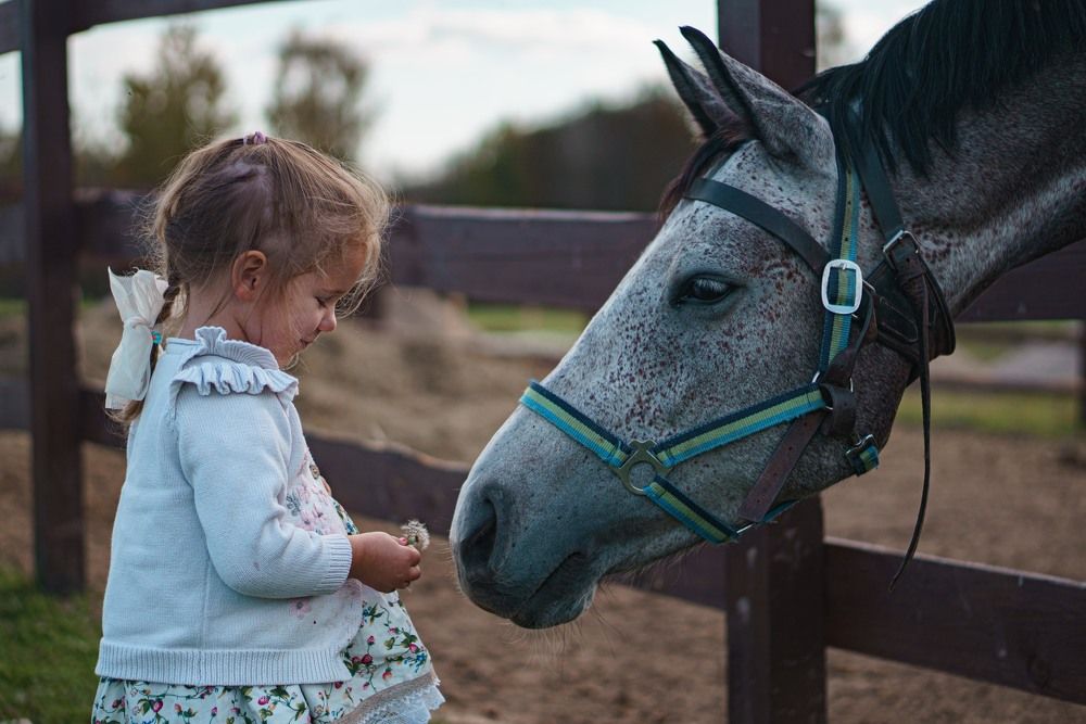 Photograph by Юлия Дмитриева