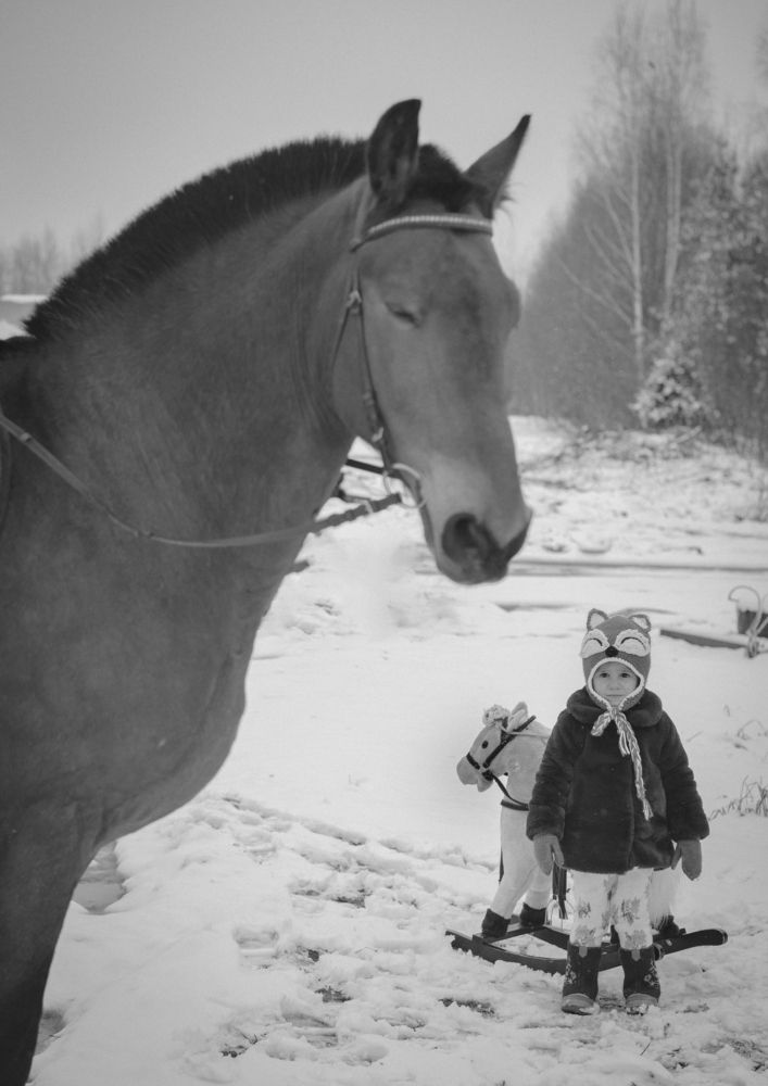 Photograph by Юлия Дмитриева