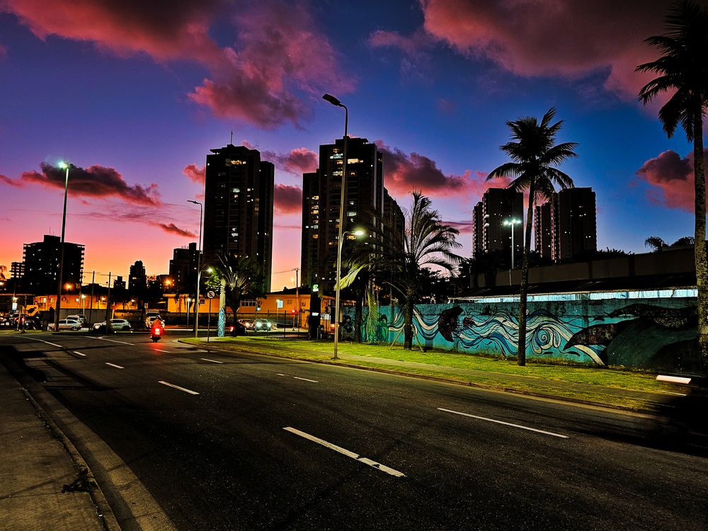 Фотография автора Elaine Almeida